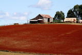 Red Earth farmhouse and buildings