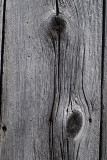 Old barn board