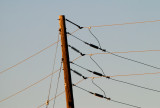 Crossed Wires