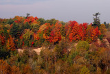 Fall  Ontario 2007