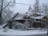 Damage caused by ice storm