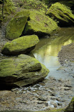 HH2006-06-02_50.jpg