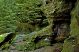 HH2006-06-03_90.jpg