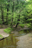 HH2007-05-04_0028.jpg