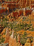 Bryce-Canyon2005-08-27_0011.jpg