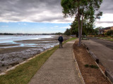 SB1504 w.jpg