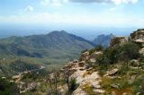 Mount Lemmon #10