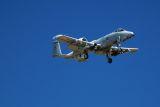 A10 Warthog #3