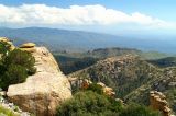 Mount Lemmon #14