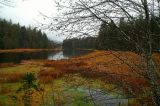 Fall Along Blind River