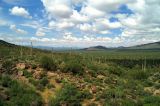 Tucson Mountain Park #14