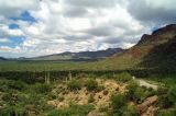 Tucson Mountain Park #15