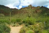Saguaro National Park #1