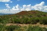 Saguaro National Park  #10