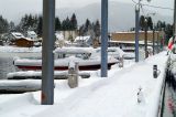 South Harbor Snow