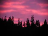Petersburg Sunset #6
