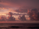 P1020690c.jpg