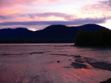 P1060357cccc.jpg