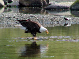 P7130063ccc.jpg