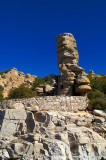 Mt Lemmon  #8