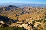 Mt Lemmon  #11