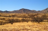 Arivaca  #1
