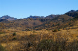 Arivaca  #8