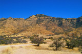 Arivaca  #25