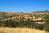 Arivaca  #27