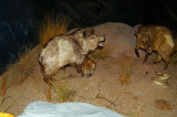 Museum #7