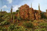 Copper Creek #3