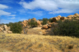 Texas Canyon #1