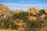 Texas Canyon #8