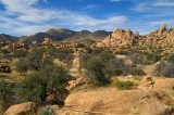Texas Canyon #14