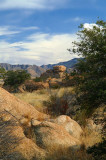 Texas Canyon #19