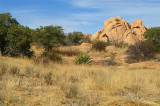 Texas Canyon #21