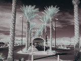 Tucson VA Hospital #1