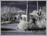 Tucson #5