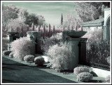Tucson #6