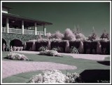 Viansa Winery