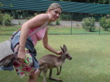 Feeding Kangaroos (1).JPG