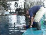 ZOO.jpg