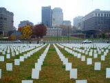 Veterans Day tribute to Iraq war dead