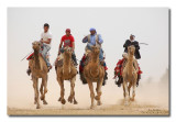 Camels Race, Arad