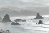 DSC_2810_resize.JPG