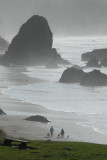 DSC_2811_resize.JPG