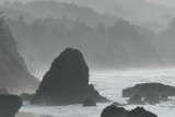 DSC_2818_resize.JPG