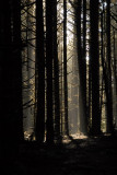 DSC_2826_resize.JPG
