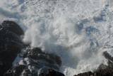 DSC_2880_resize.JPG