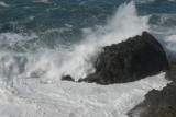 DSC_2887_resize.JPG